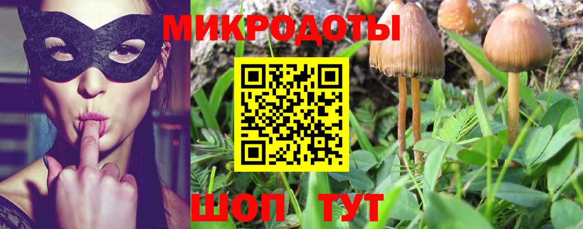 дарнет шоп  Псилоцибиновые грибы Psilocybe  Вход с VPN  Чехов  Галлюциногенные грибы ЛСД 