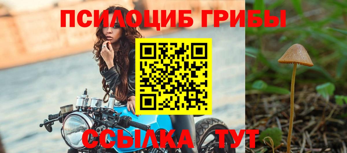 Псилоцибиновые грибы прущие грибы Чехов